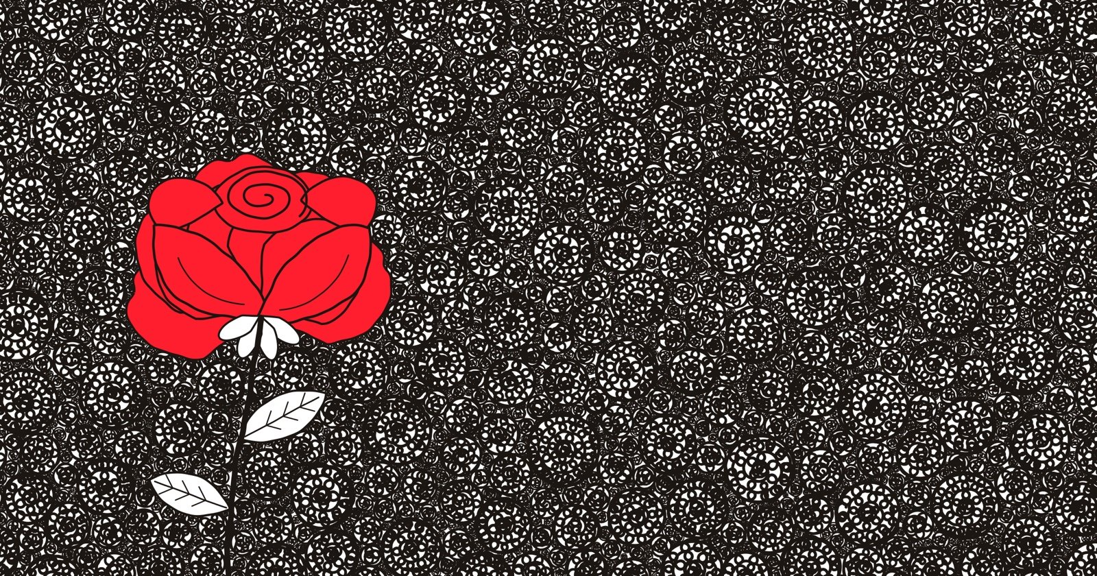 A single red rose on a black and white field of revolving circles